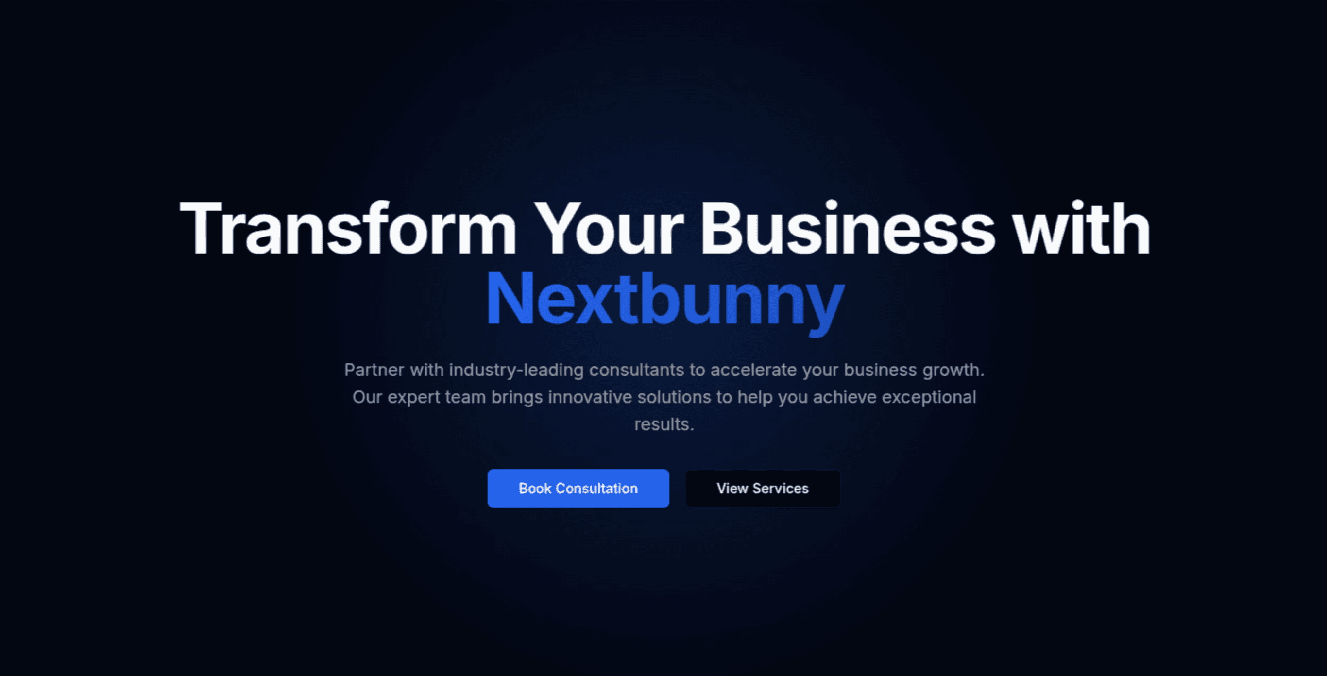 BusinessHero preview